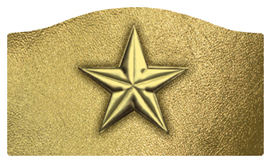 DASHELL-430-GD-GD Star Gold-Gold